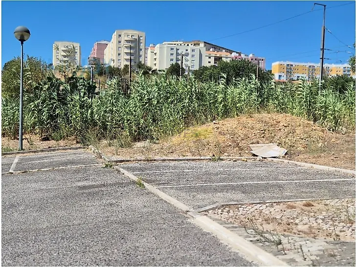 main-listing-picture-0