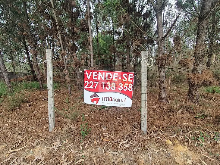 main-listing-picture-0