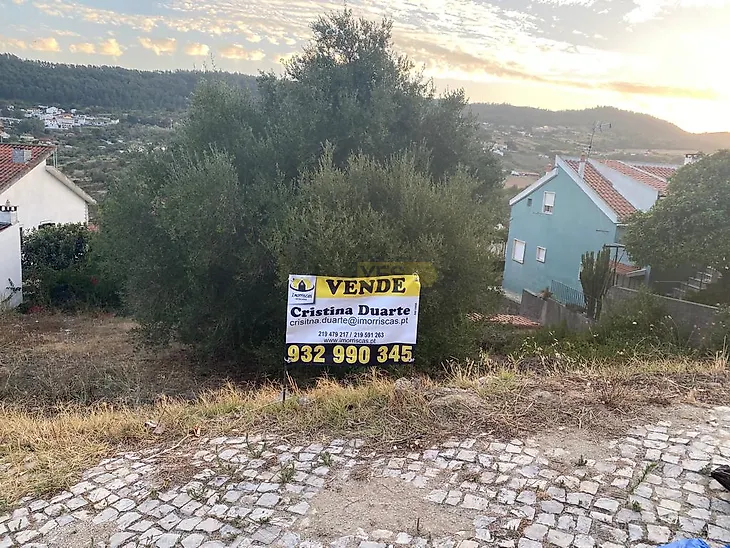 main-listing-picture-0