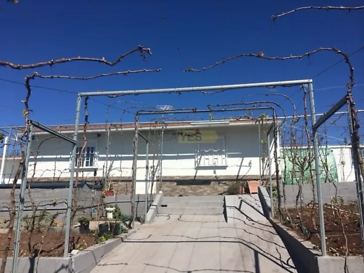 main-listing-picture-0