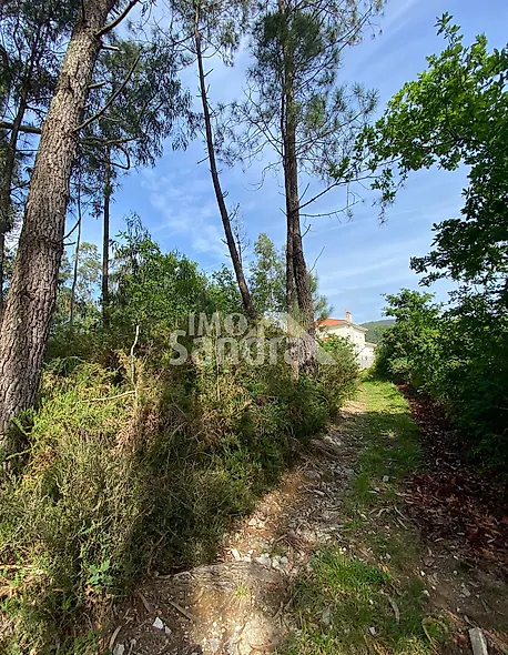 main-listing-picture-0