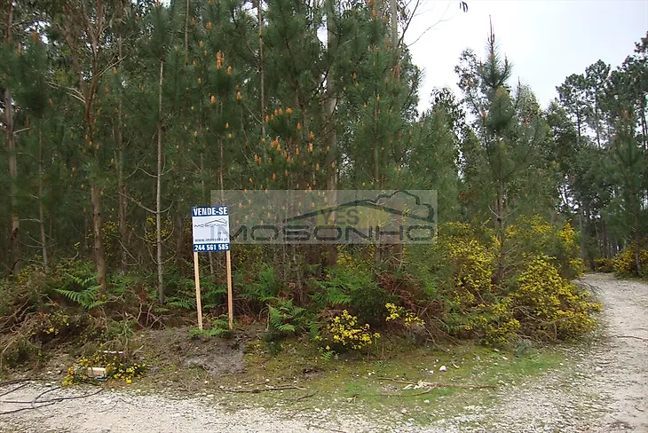main-listing-picture-0