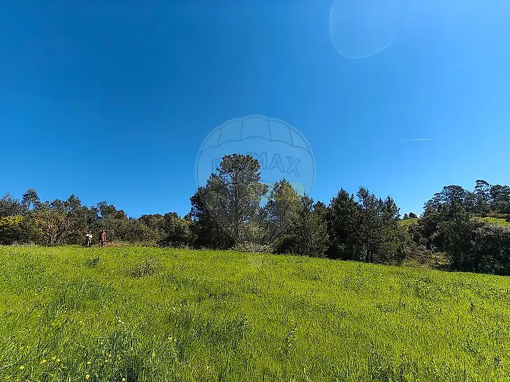 main-listing-picture-0