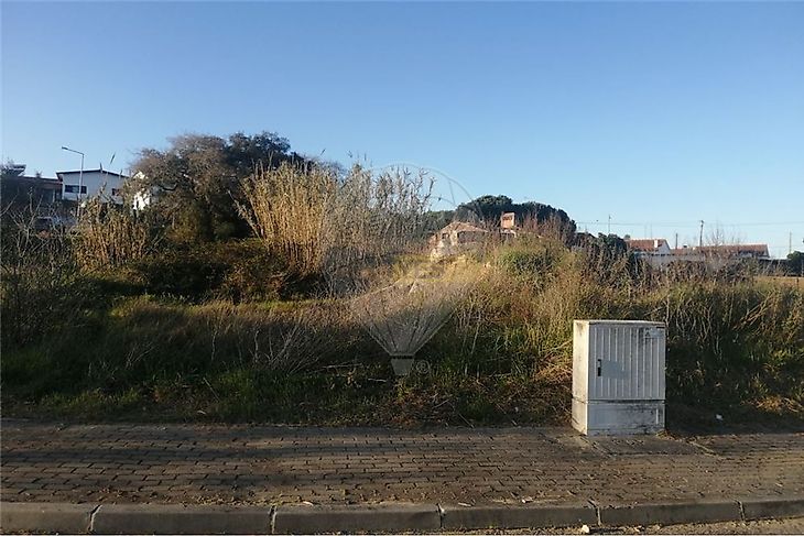 main-listing-picture-0