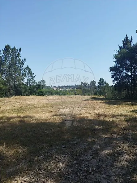 main-listing-picture-0