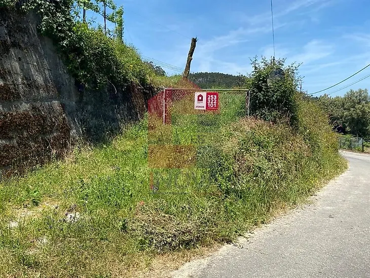 main-listing-picture-0