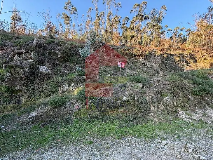 main-listing-picture-0