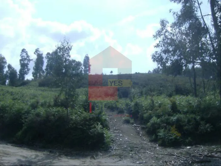 main-listing-picture-0