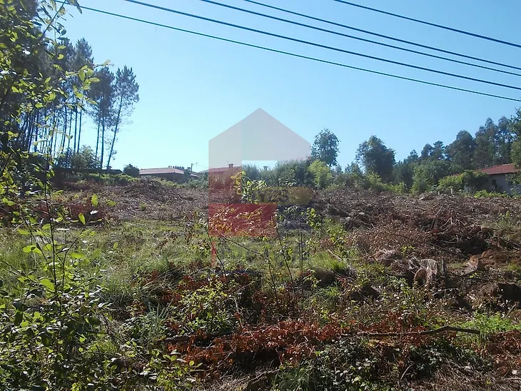 main-listing-picture-0
