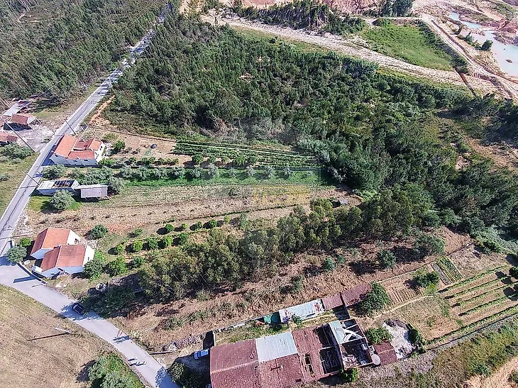 main-listing-picture-0