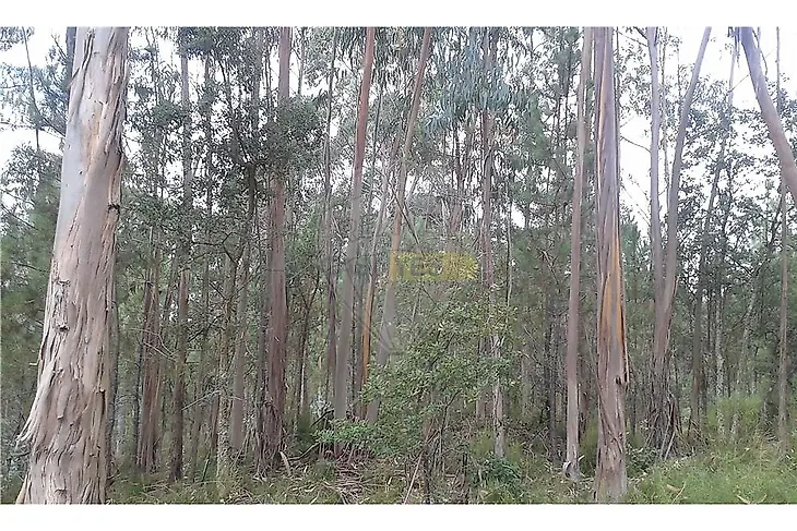 main-listing-picture-0