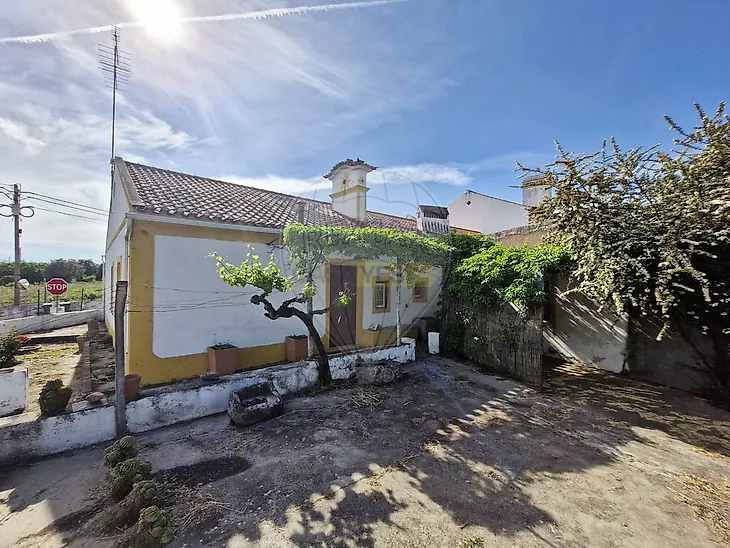 main-listing-picture-0