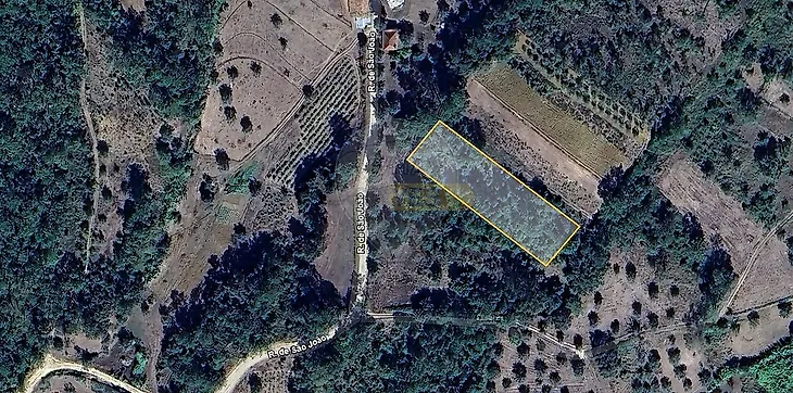 main-listing-picture-0