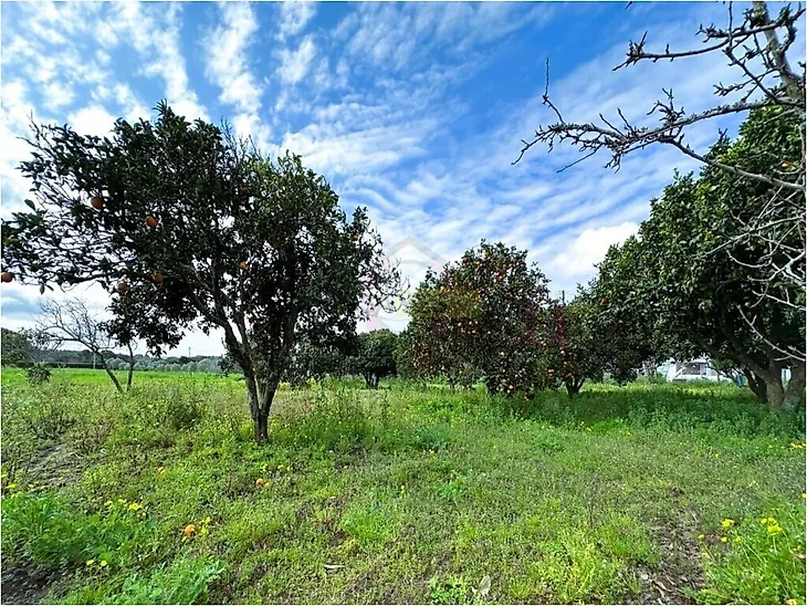 main-listing-picture-0