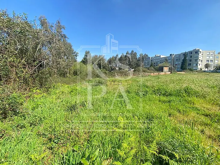 main-listing-picture-0