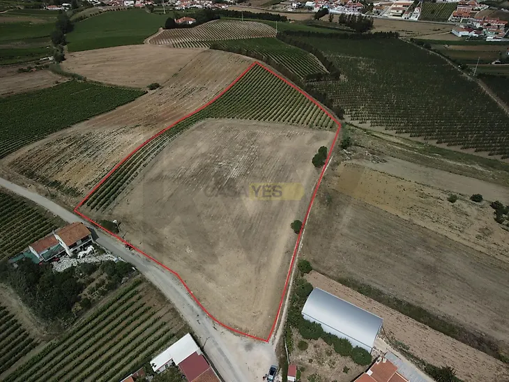 main-listing-picture-0