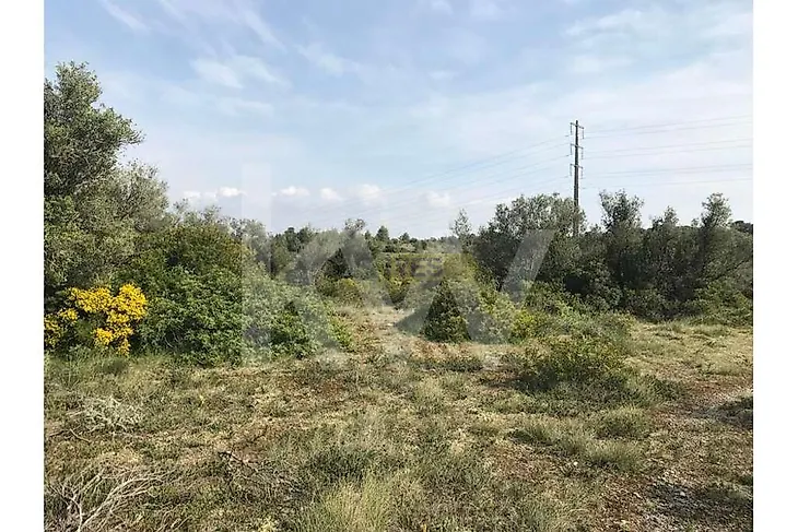 main-listing-picture-0