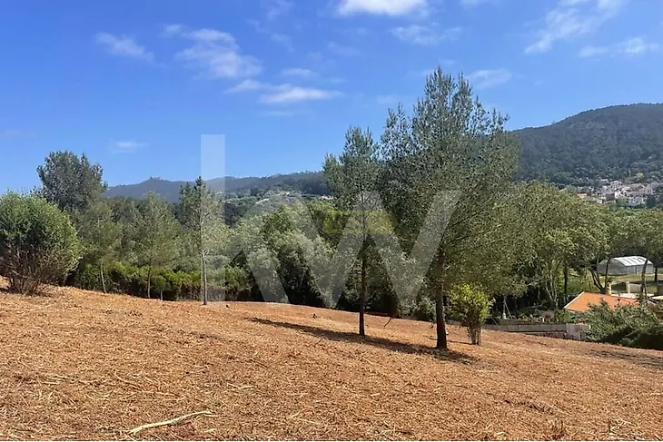 main-listing-picture-0