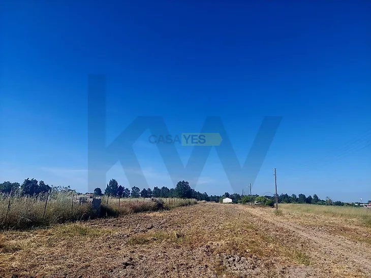 main-listing-picture-0
