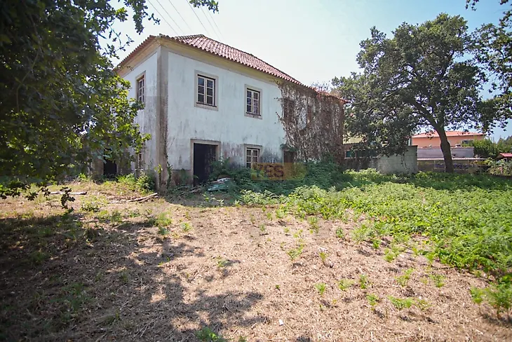 main-listing-picture-0