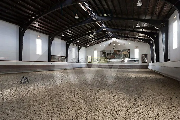 main-listing-picture-0