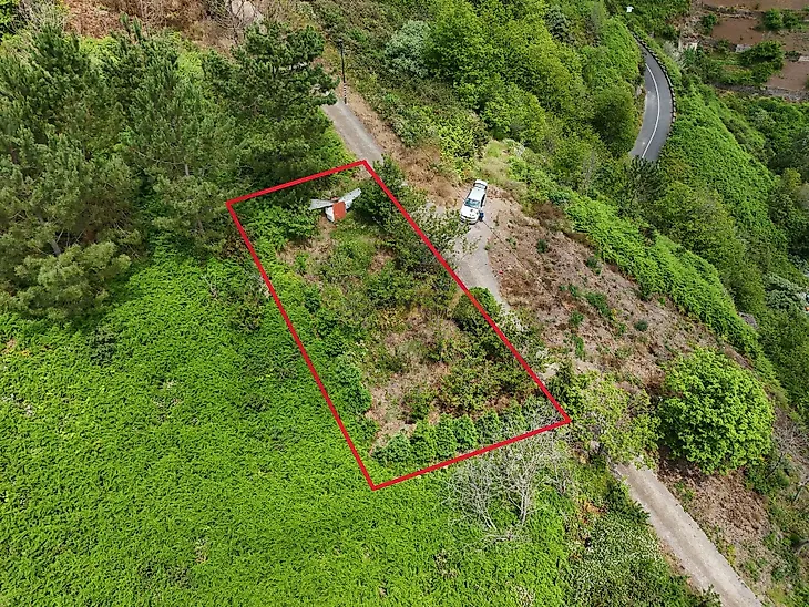 main-listing-picture-0