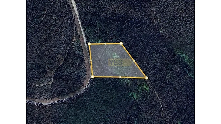 main-listing-picture-0