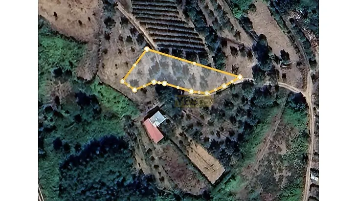main-listing-picture-0
