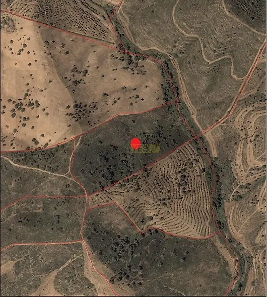 main-listing-picture-0
