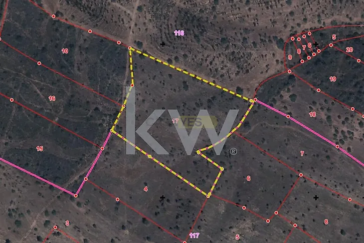 main-listing-picture-0