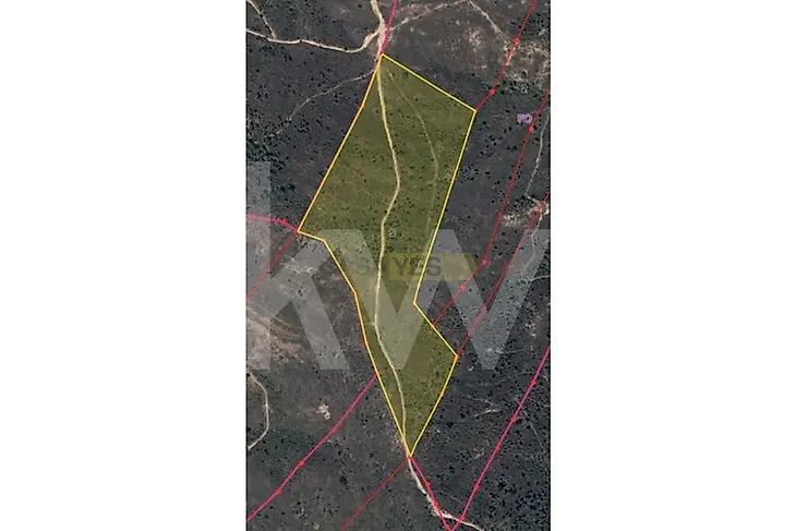 main-listing-picture-0