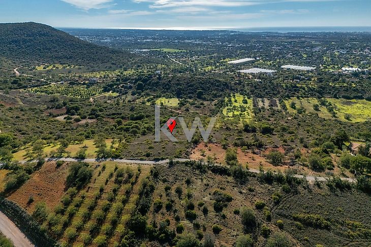 main-listing-picture-0
