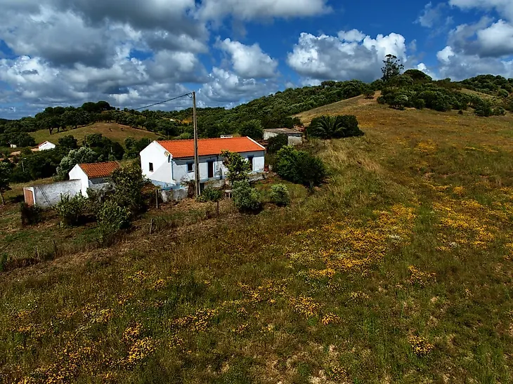 main-listing-picture-0