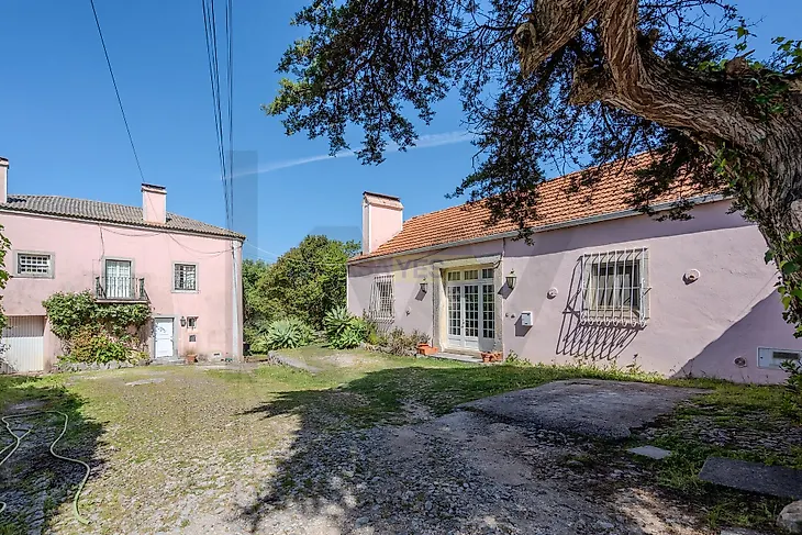main-listing-picture-0