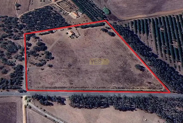 main-listing-picture-0