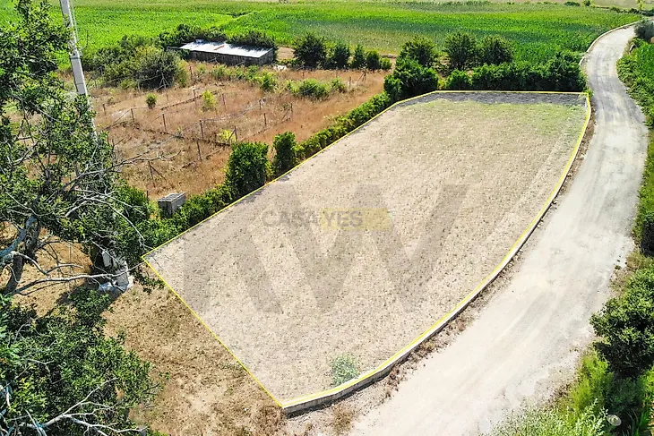 main-listing-picture-0