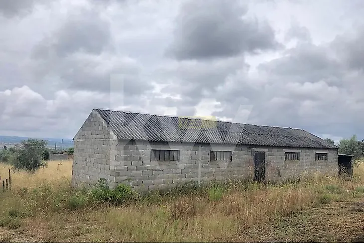 main-listing-picture-0