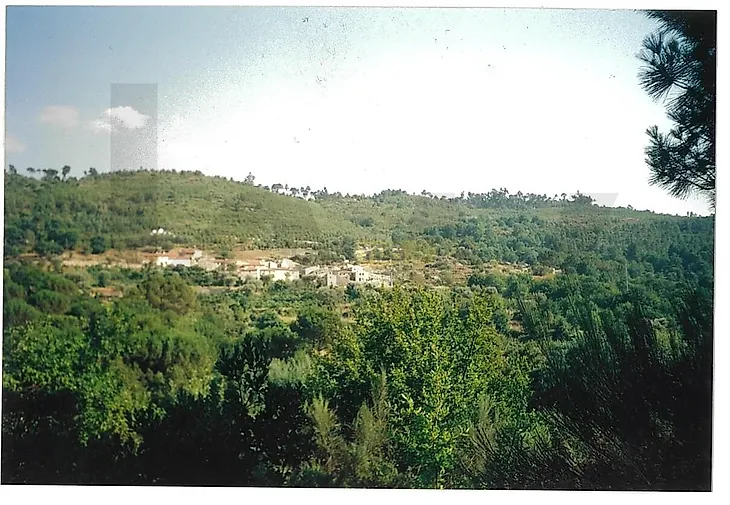 main-listing-picture-0