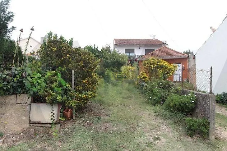 main-listing-picture-0
