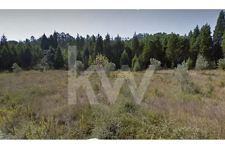 main-listing-picture-0