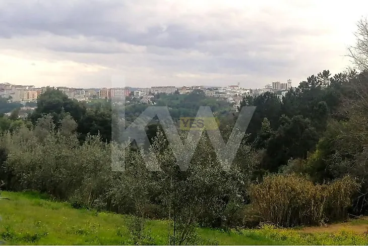 main-listing-picture-0