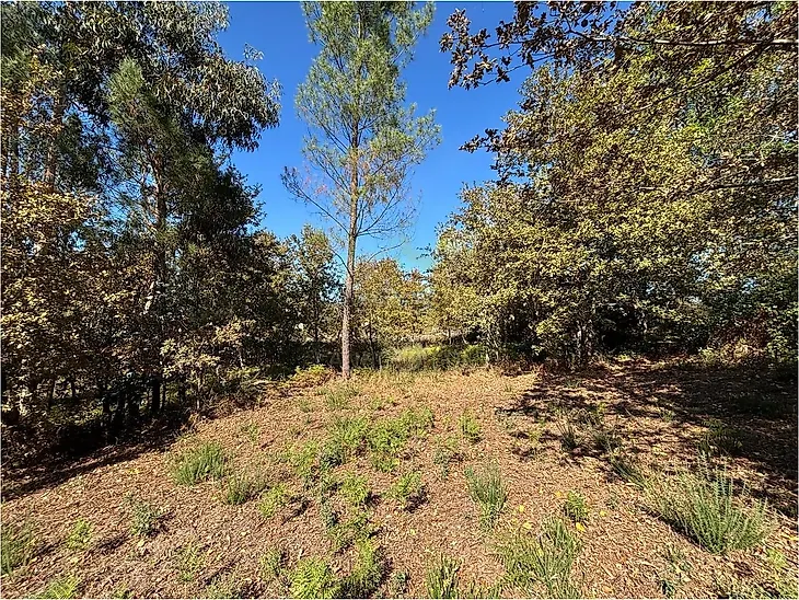 main-listing-picture-0
