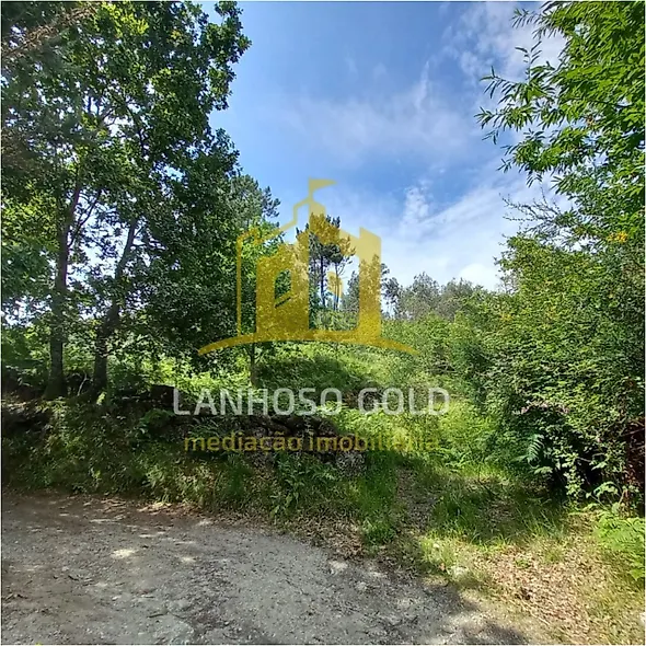 main-listing-picture-0