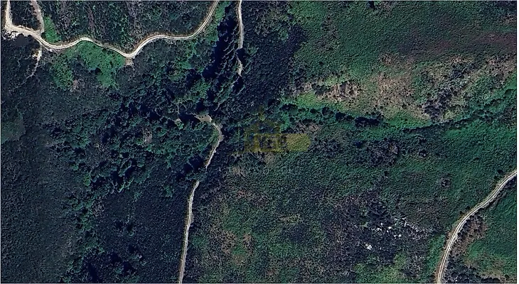 main-listing-picture-0