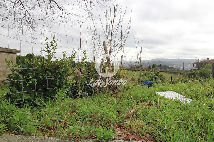 main-listing-picture-0