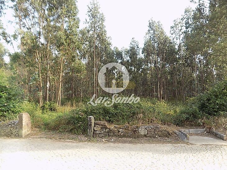 main-listing-picture-0