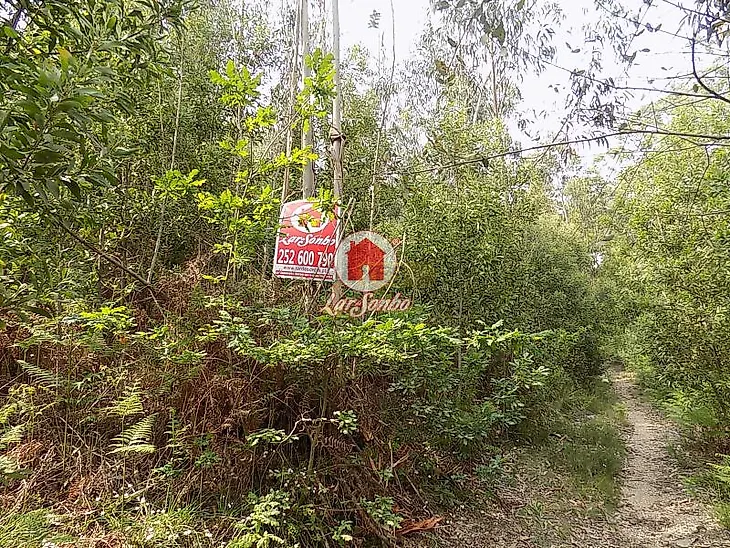 main-listing-picture-0