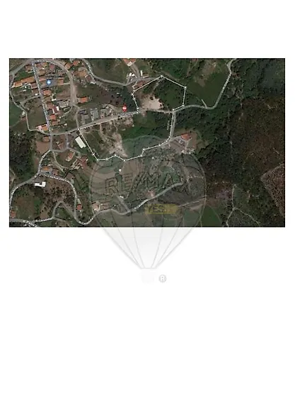 main-listing-picture-0