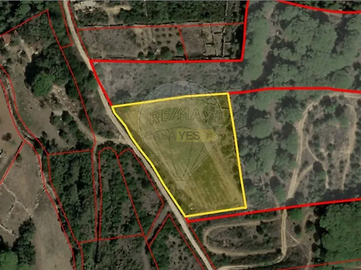 main-listing-picture-0