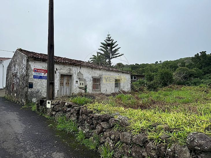 main-listing-picture-0
